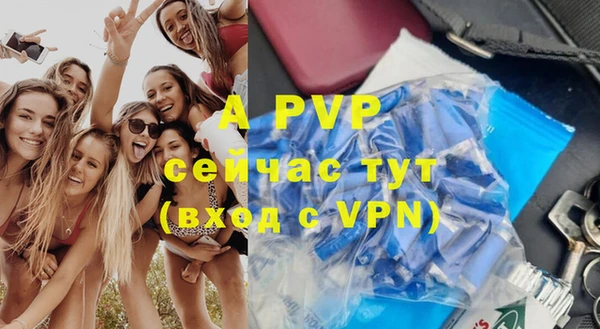 Альфа ПВП Беломорск