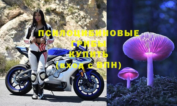 МДМА Белокуриха